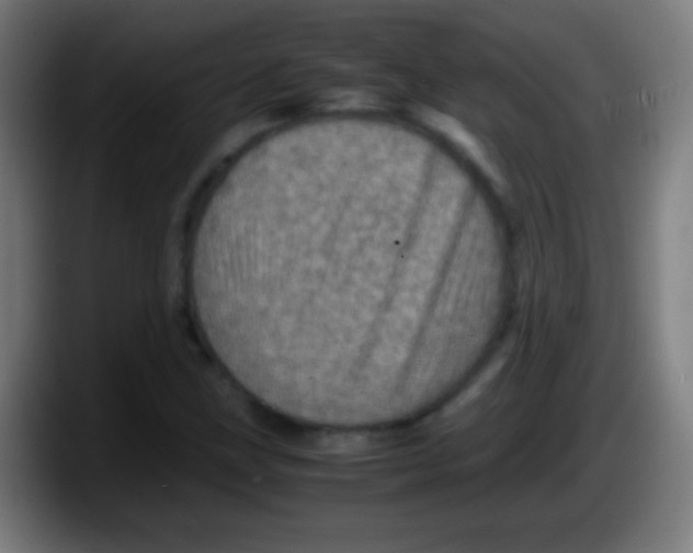 X0000087621211200705251956