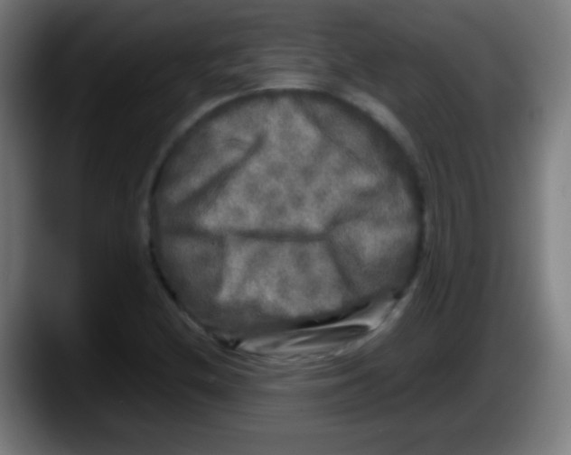 X0000087621212200705251956