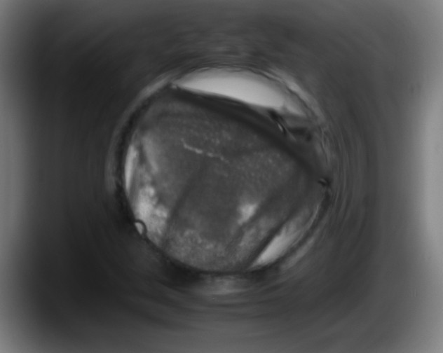X0000087621213200705251956