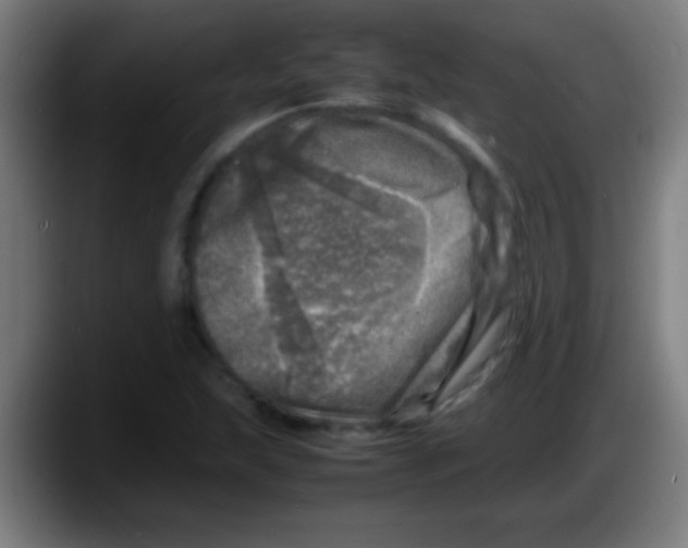 X0000087621215200705251956