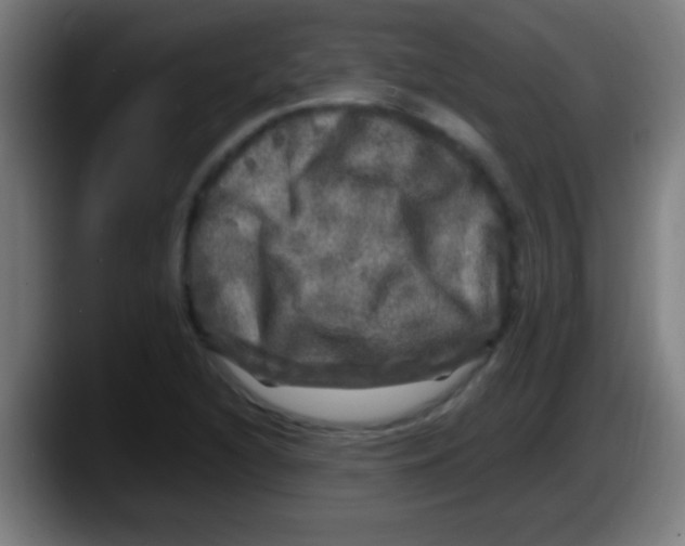 X0000087621216200705251956