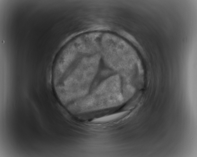 X0000087621220200705251956