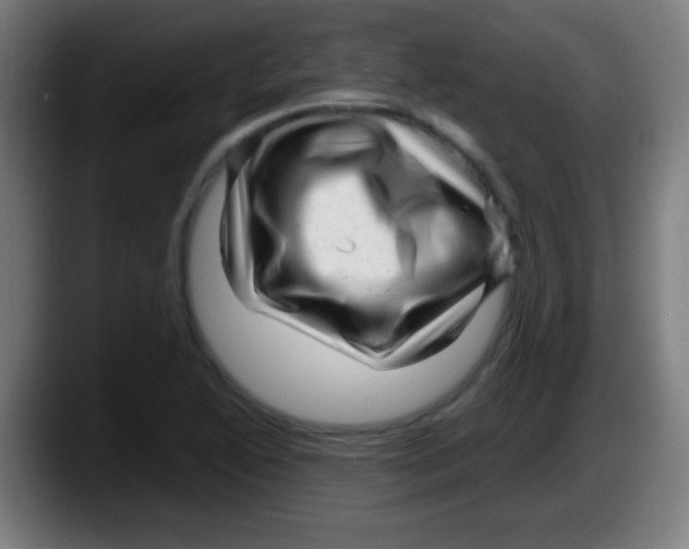 X0000087621222200705251956