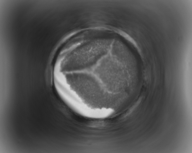 X0000087621223200705251956
