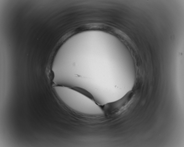 X0000087621225200705251956