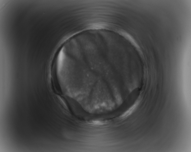 X0000087621226200705251956