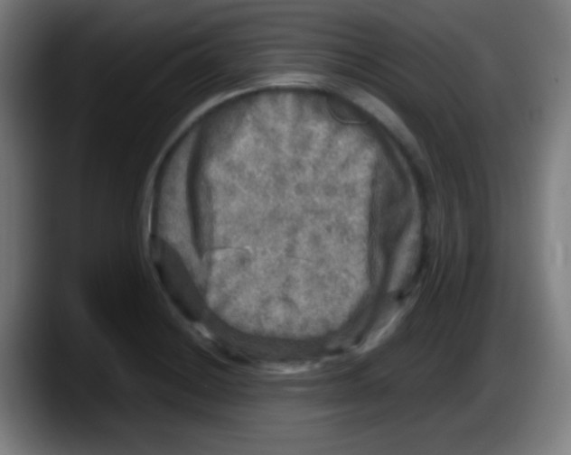 X0000087621228200705251956