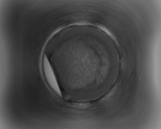 X0000087621229200705251956