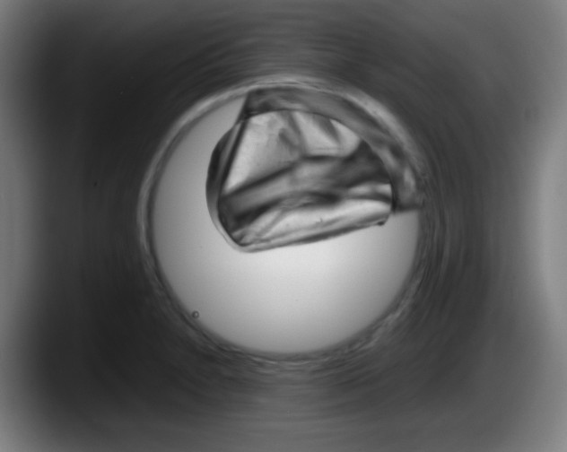 X0000087621230200705251956