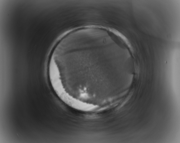 X0000087621231200705251956