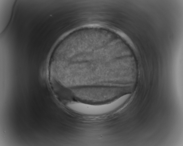 X0000087621232200705251956