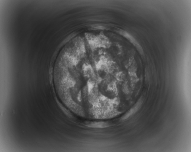 X0000087621233200705251956