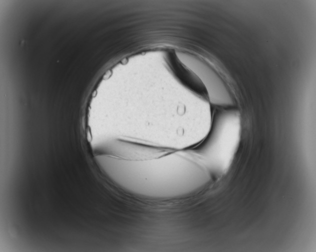 X0000087621234200705251956