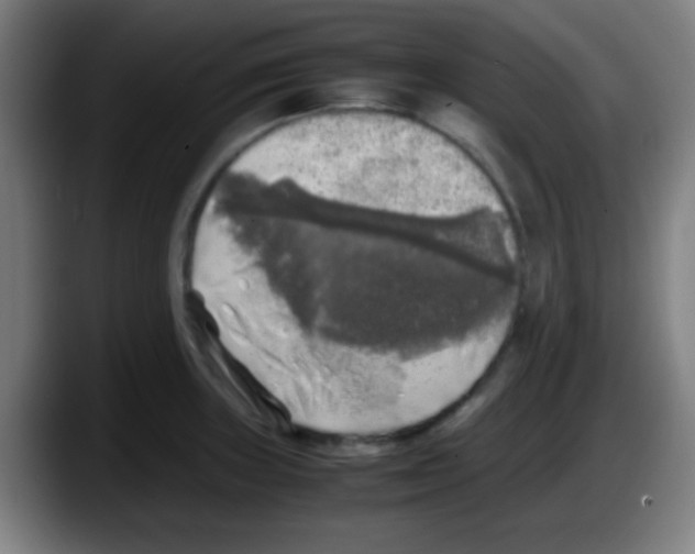 X0000087621235200705251956