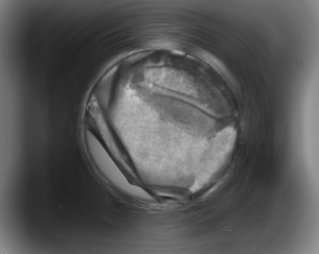 X0000087621236200705251956