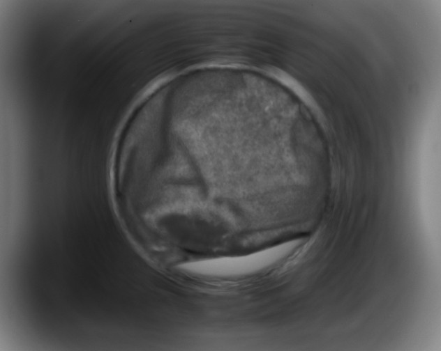 X0000087621237200705251956