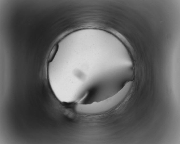 X0000087621238200705251956