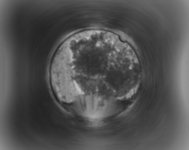 X0000087621239200705251956