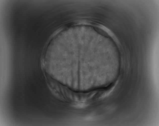 X0000087621241200705251956