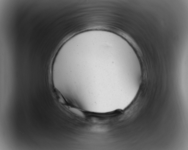 X0000087621242200705251956