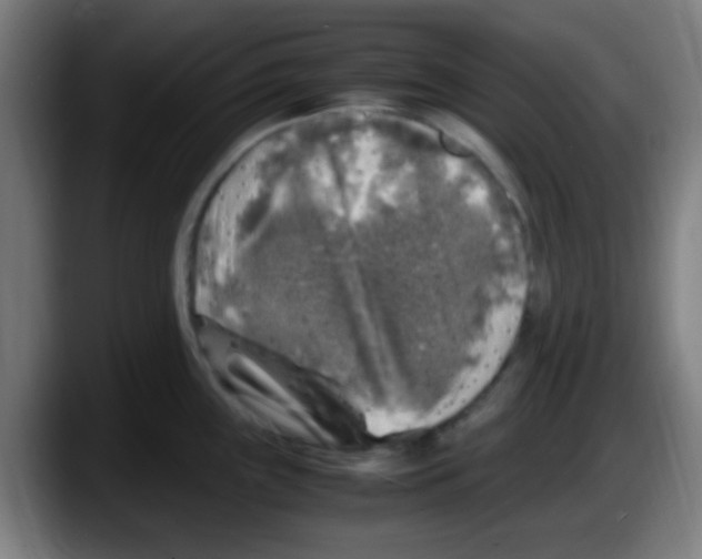 X0000087621243200705251956