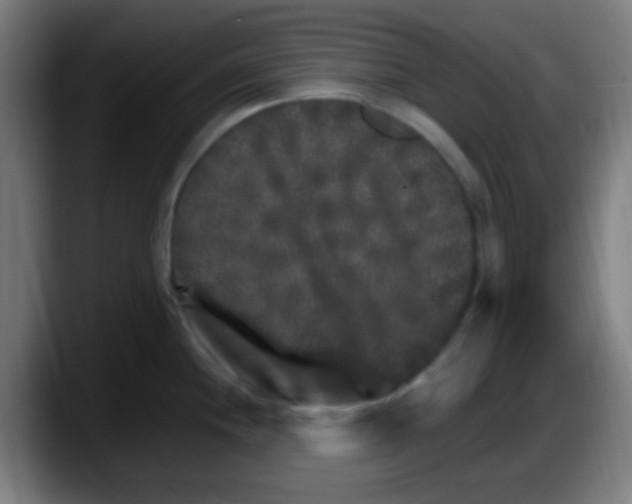 X0000087621244200705251956