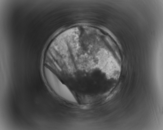X0000087621245200705251956