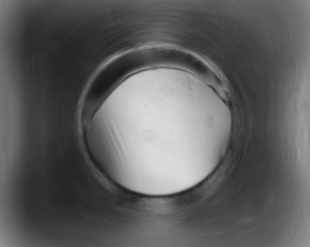 X0000087621246200705251956