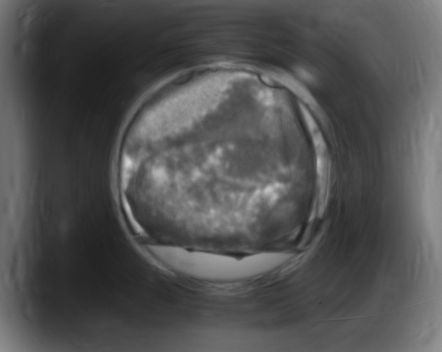 X0000087621247200705251956