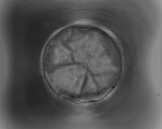 X0000087621248200705251956