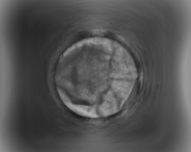 X0000087621249200705251955