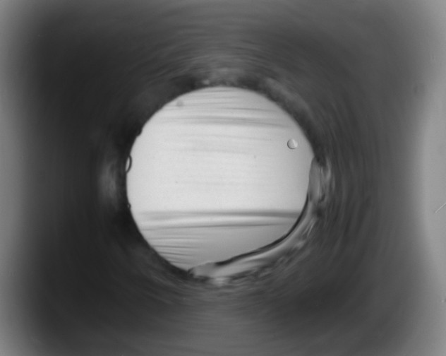 X0000087621250200705251955