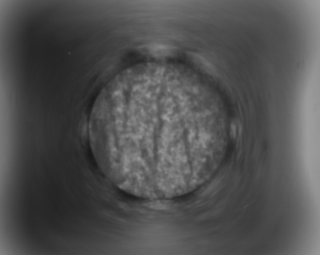 X0000087621251200705251955