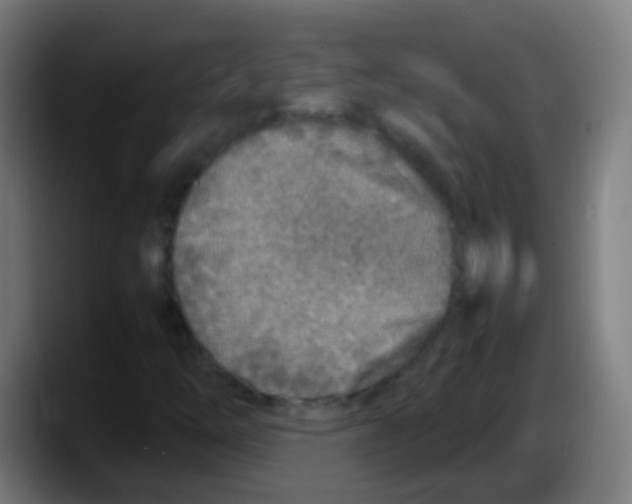 X0000087621254200705251955