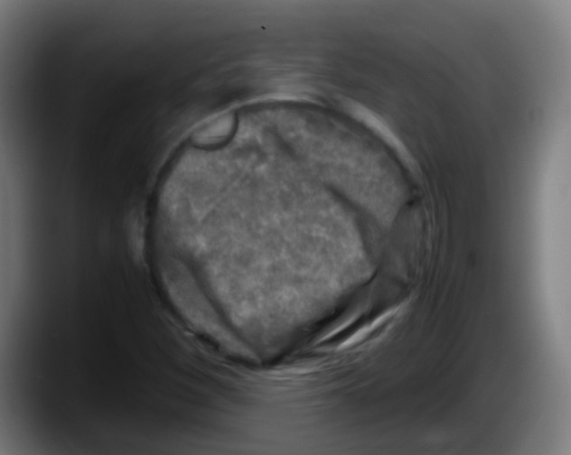 X0000087621260200705251955