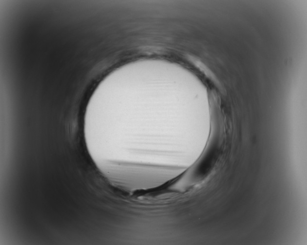 X0000087621261200705251955