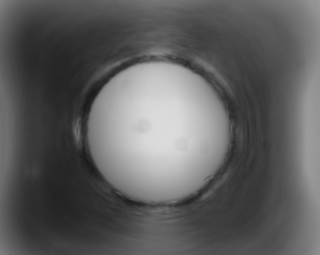 X0000087621262200705251955