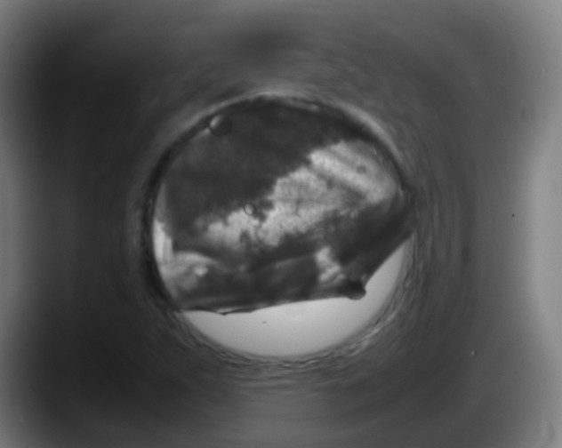 X0000087621263200705251955