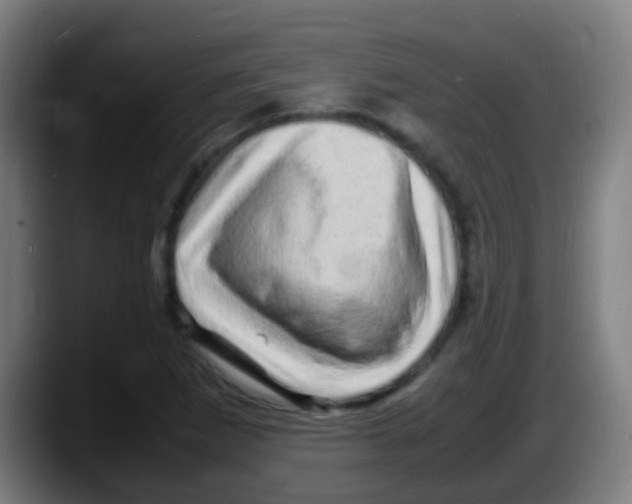 X0000087621265200705251955