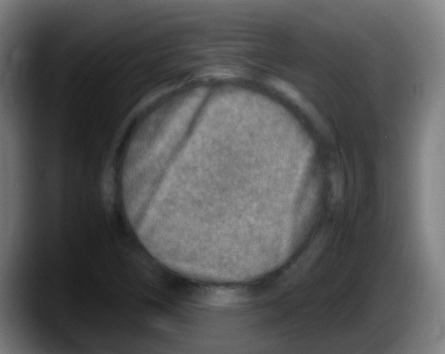 X0000087621266200705251955