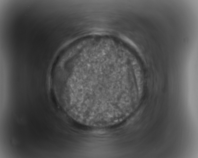 X0000087621267200705251955