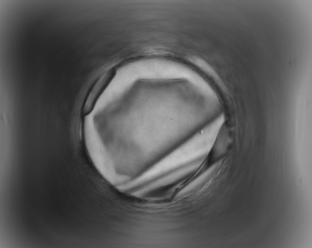 X0000087621269200705251955