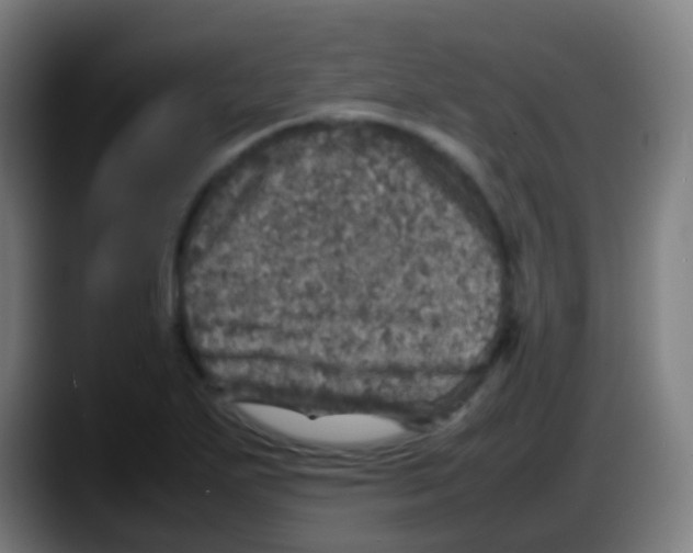 X0000087621271200705251955