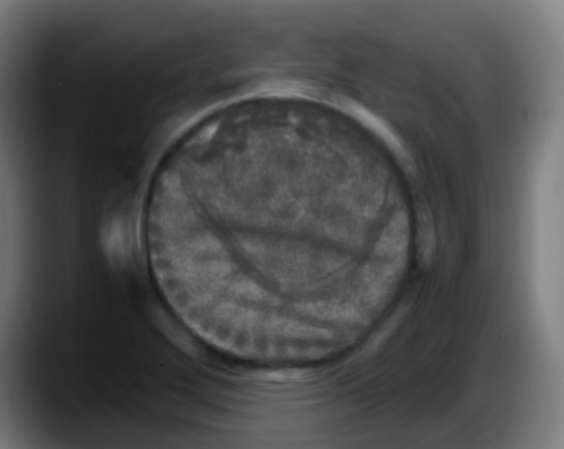 X0000087621272200705251955