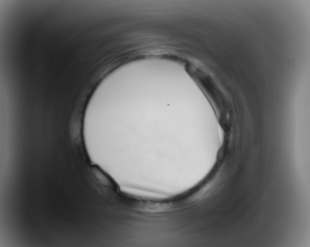 X0000087621273200705251955