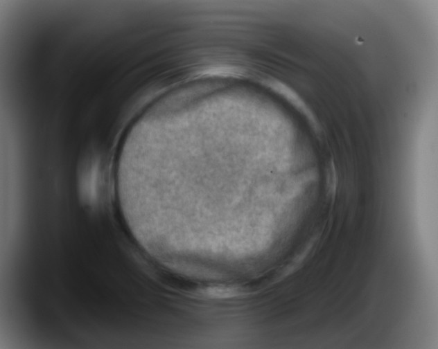 X0000087621274200705251955