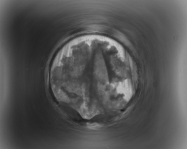 X0000087621275200705251955