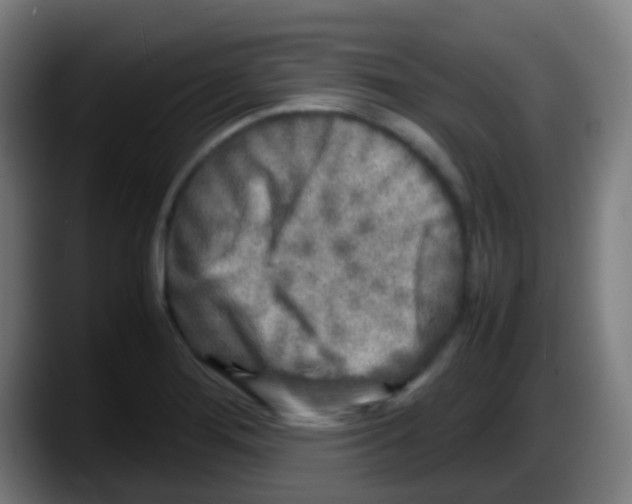 X0000087621276200705251955