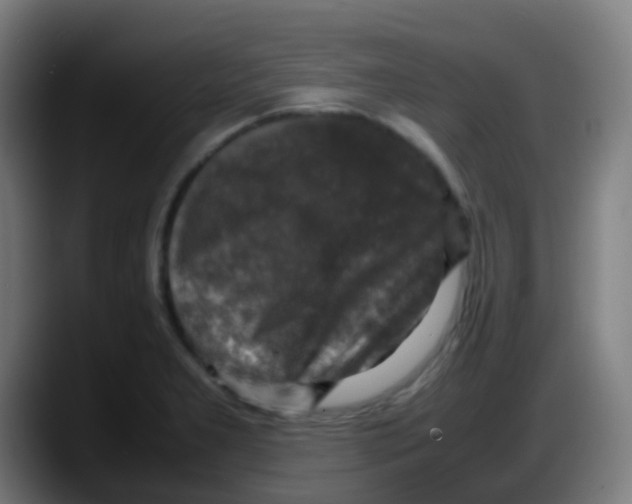 X0000087621277200705251955