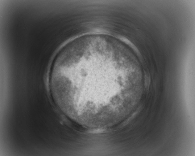 X0000087621278200705251955